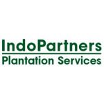 Lowongan Kerja PT Indo Partners Plantation Services Terbaru